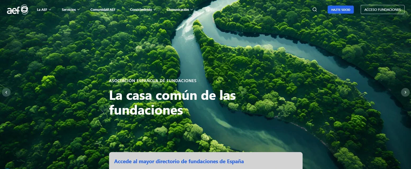 AEF homepage: a full-bleed aerial photograph of forest and river behind the headline La casa comun de las fundaciones, with the foundation directory search card overlapping the hero