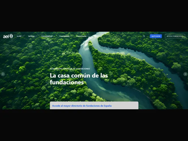AEF homepage, designed at UVE Group
